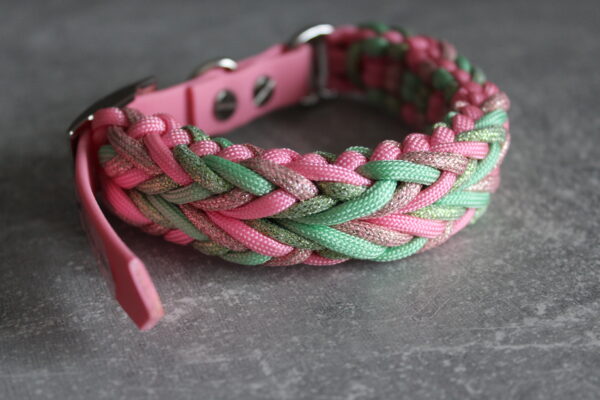 Lunas Crossed Colours